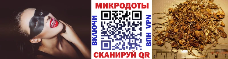 Галлюциногенные грибы Psilocybine cubensis  Сосновоборск 